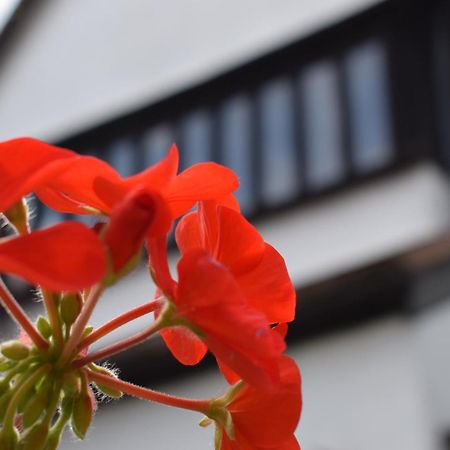 Alma Inn & Dining Rooms Харвич Экстерьер фото